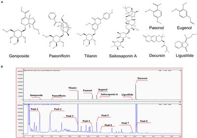 Gami–Chunggan Formula Prevents Motor Dysfunction in MPTP/p-Induced and A53T α-Synuclein Overexpressed Parkinson’s Disease Mouse Model Though DJ-1 and BDNF Expression